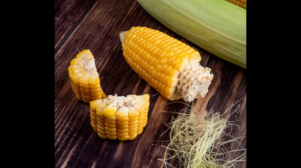 Dibuang Sayang! Inilah 6 Manfaat Bonggol Jagung Dan Kandungannya Yang Jarang Diketahui